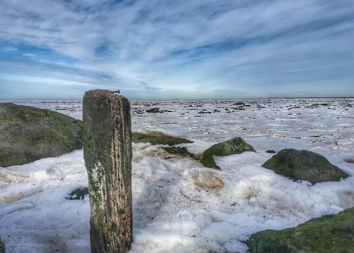 Сasa de vacaciones Anje
